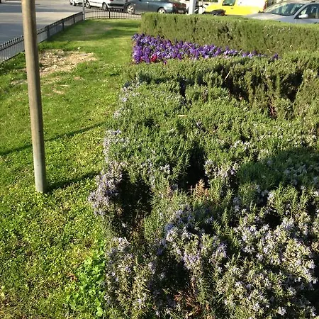 Lidija Beach Apartament *